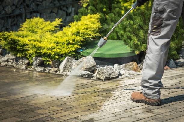 Best Driveway Pressure Washing  in Cattaraugus, NY