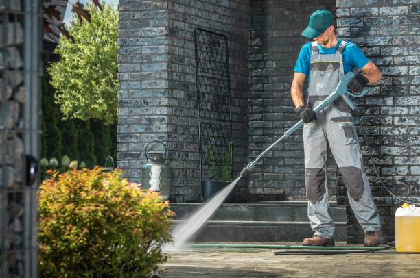 Best Solar Panel Cleaning  in Cattaraugus, NY
